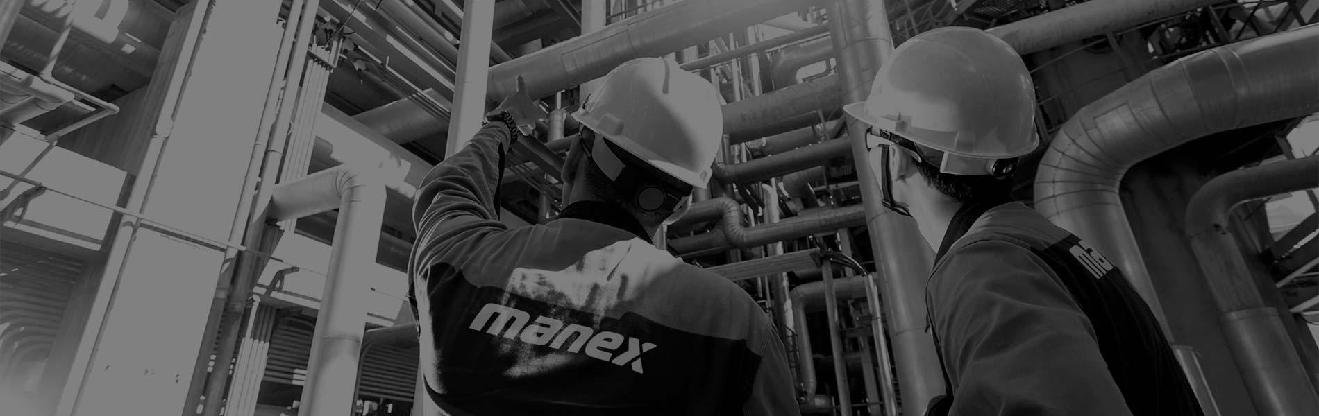 Mantenimiento Experto y Digital - MANEX